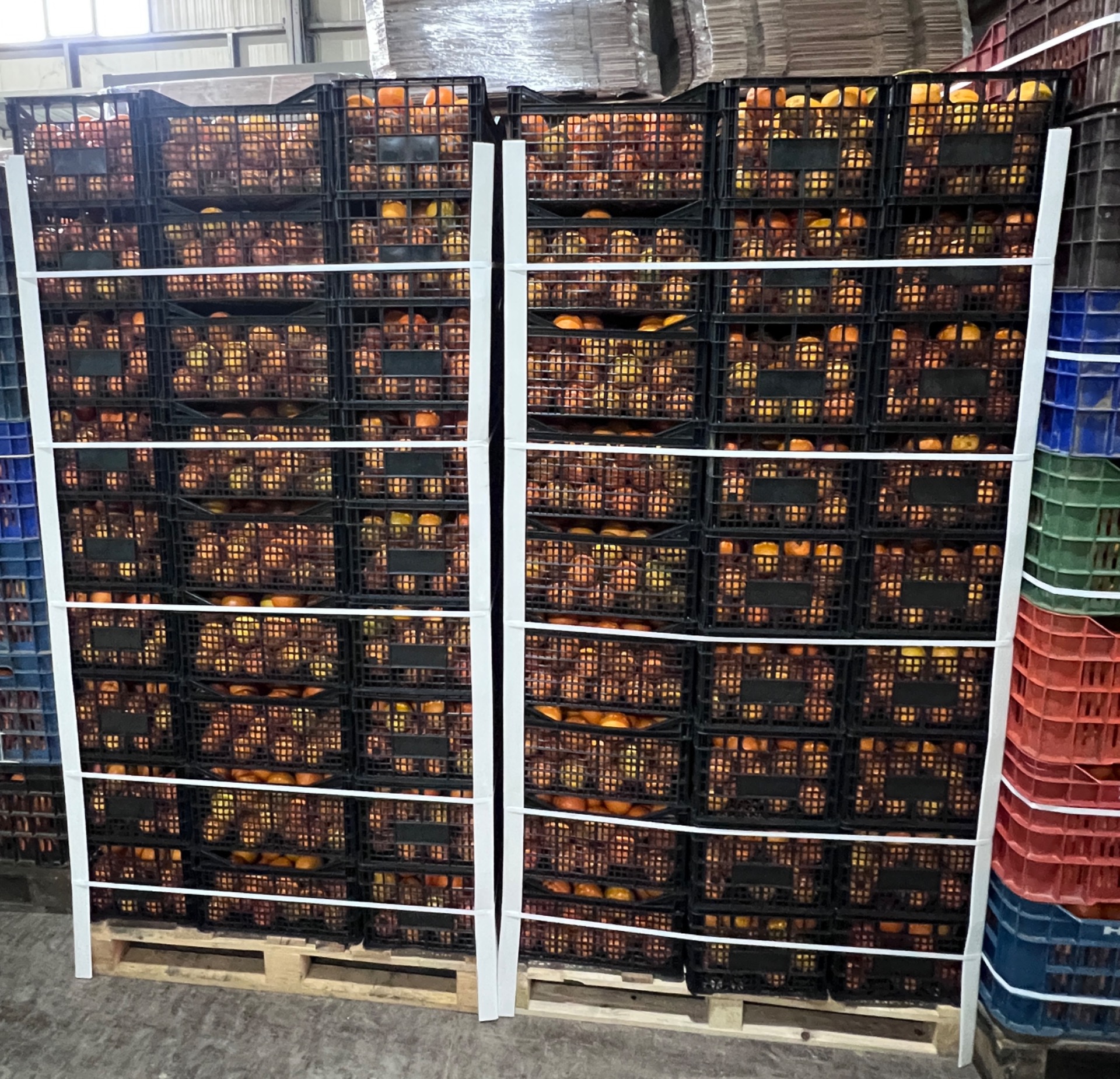 Πορτοκάλια μηχανής χυμού 6/7  0.50€