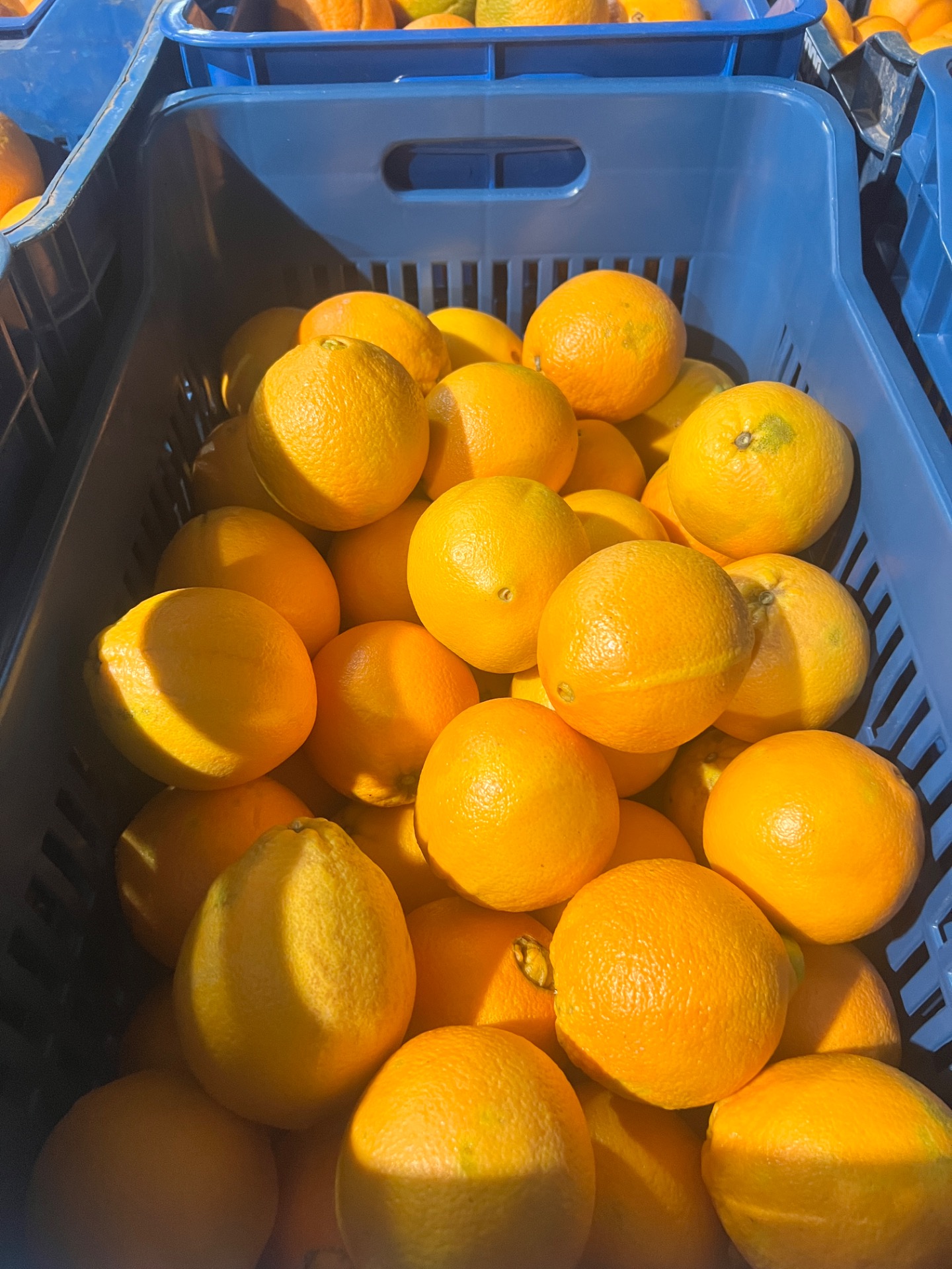 Πορτοκάλια φαγητού σε διάταξη 0.65€